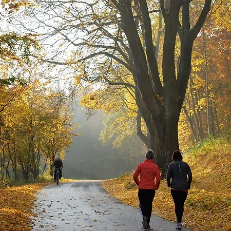 阿布斯霍夫旅馆